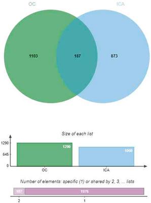 Effect of icariin on ovarian cancer: a combined network pharmacology and meta-analysis of in vitro studies approach